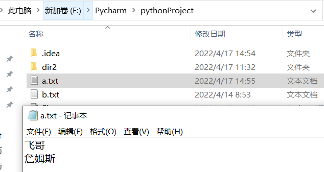 写 bytes 内容