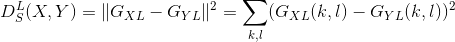 D_S^L(X,Y) = \|G_{XL} - G_{YL}\|^2 = \sum_{k,l} (G_{XL}(k,l) - G_{YL}(k,l))^2