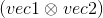 (vec1 \otimes vec2)
