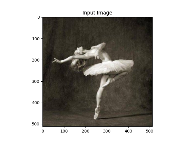 https://pytorch.org/tutorials/_images/sphx_glr_neural_style_tutorial_003.png