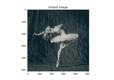 ../_images/sphx_glr_neural_style_tutorial_004.png