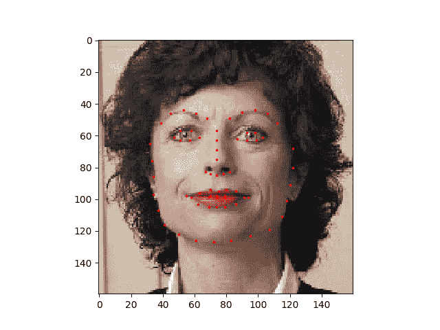 ../_images/sphx_glr_data_loading_tutorial_001.png