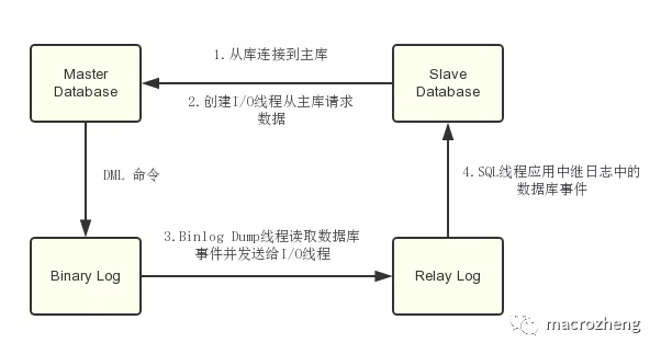 Mysql 主从复制实践(mall) - 图1