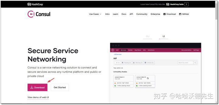 Consul SpringCloud 配置中心使用 - 图2
