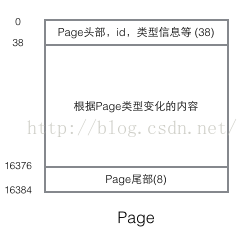 Mysql 聚簇索引和非聚簇索引原理 - 图4