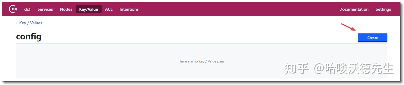 Consul SpringCloud 配置中心使用 - 图9