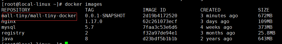 SpringBoot Maven 构建Docker镜像 - 图3