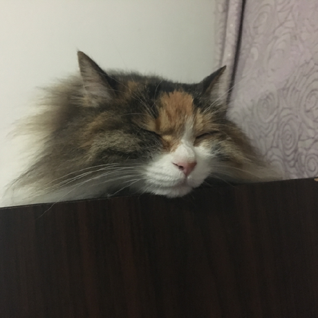 Go语言高级编程 (Advanced Go Programming) - 图7