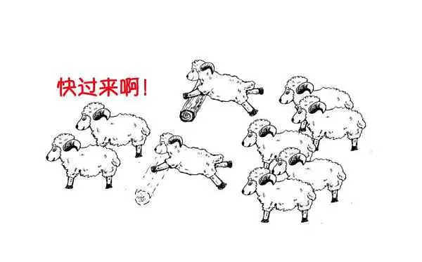 2.webp