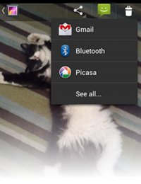 /uploads/projects/android-training-course-in-chinese/content-sharing/sharing/actionbar-shareaction.png