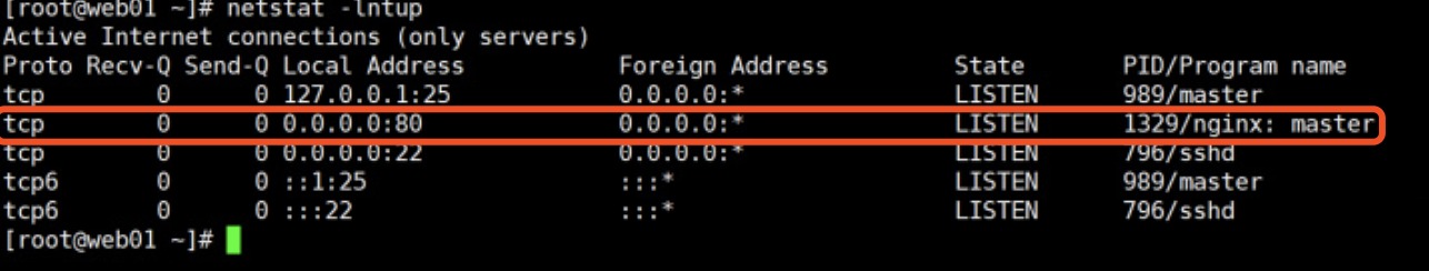 CentOS7二进制部署Nginx - 图1