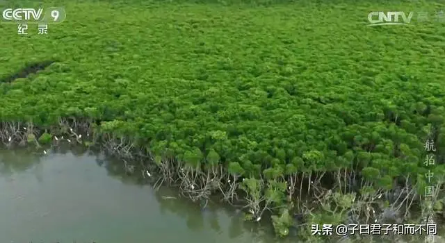 航拍中国（二）海南·天涯海角 - 图18