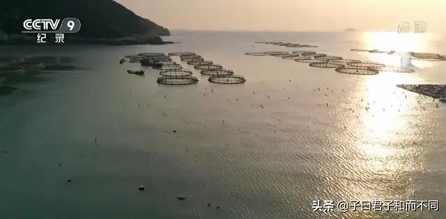 航拍中国（七）浙江·一江春水 - 图19