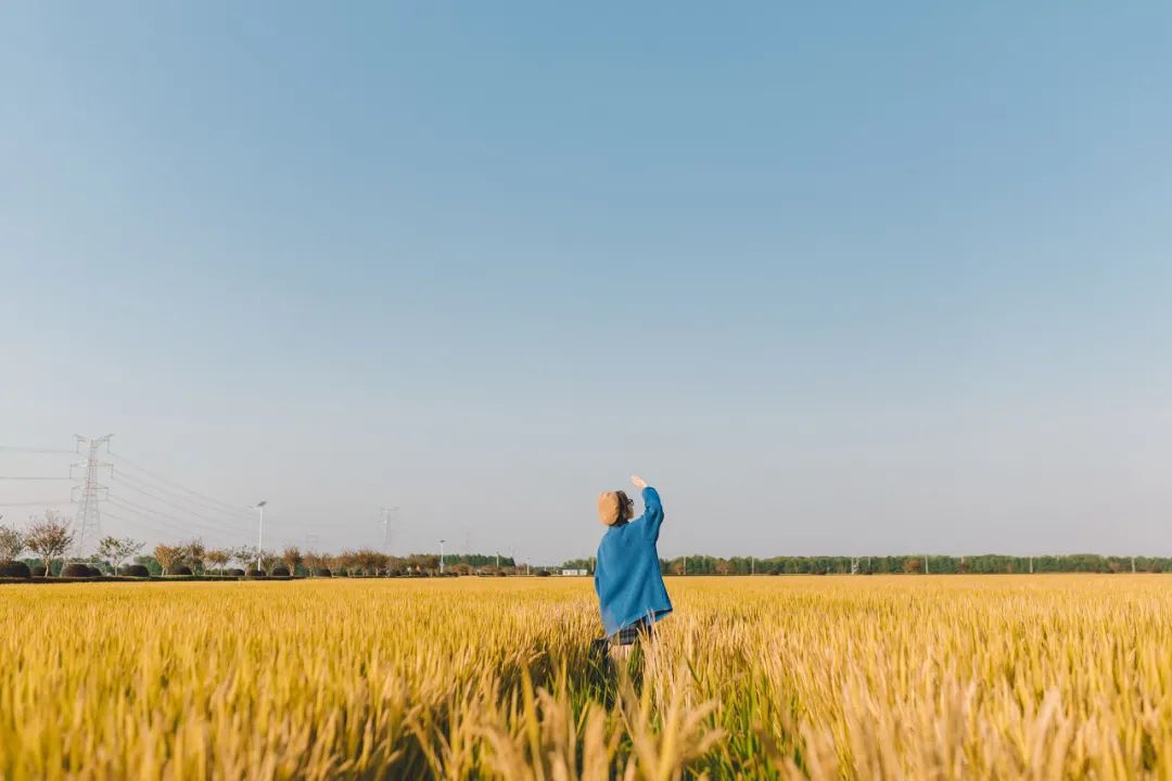 格局大了，生活就顺了 - 图3
