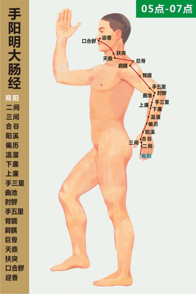 最全经络和穴位高清动图（附103个疾病对应特效穴） - 图6