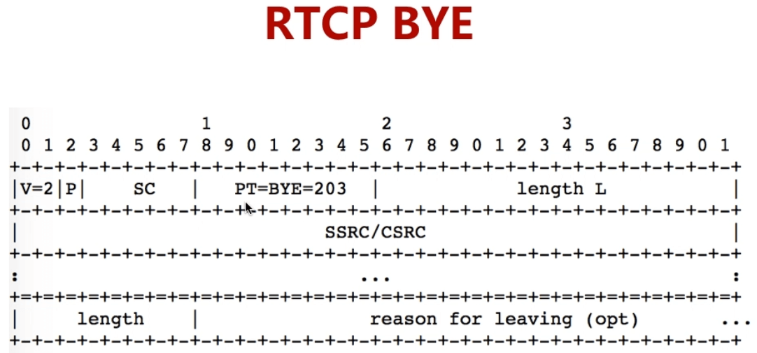 第9章 UDP/RTP/RTCP 详解 - 图18
