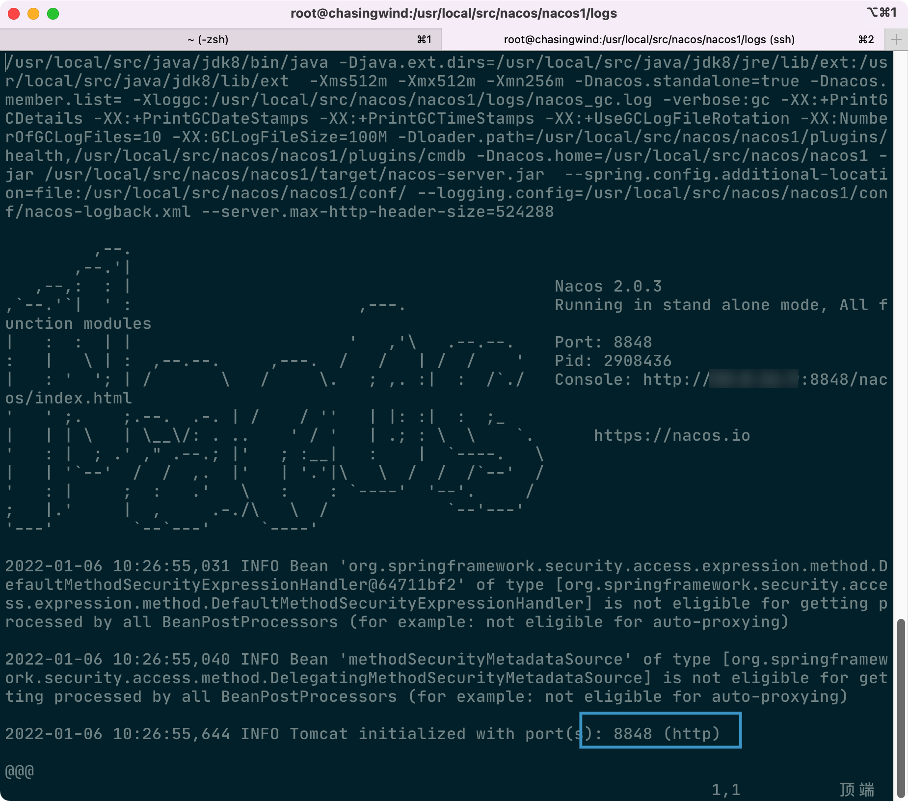 Nacos服务注册和配置中心 - 图6