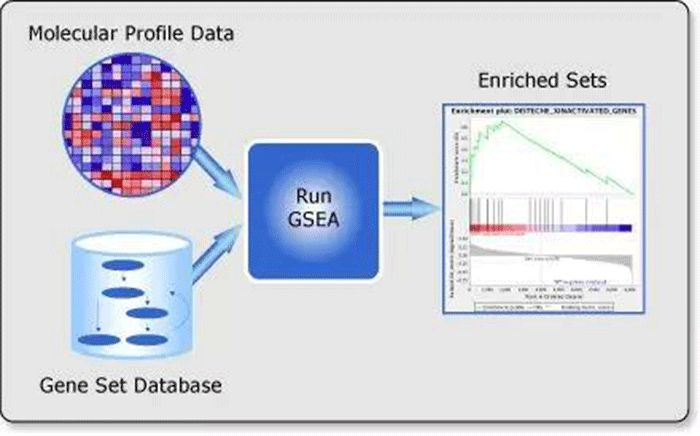 GSEA - 图1