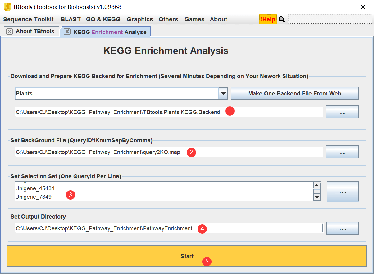 点点点，KEGG Pathway 通路富集分析 - 图4