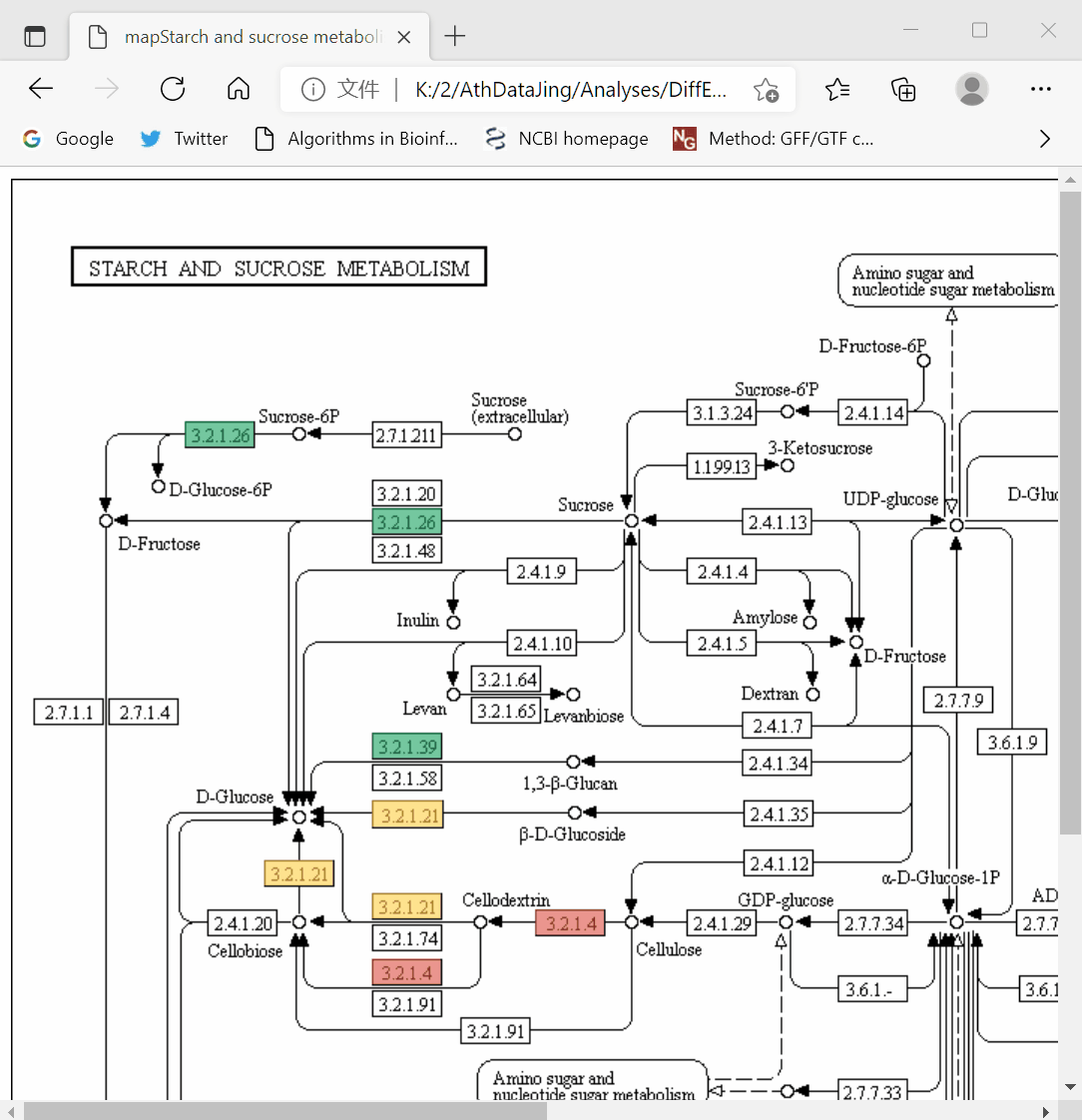 动态交互！感兴趣的基因标记在 KEGG Pathway 通路图上 - 图5