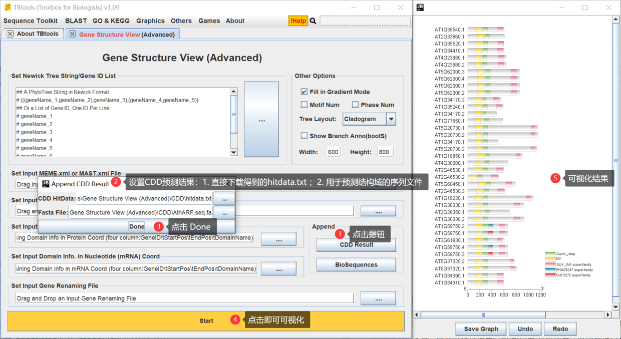 TBtools | 多图合一至强版教程！进化树   Motifs   结构域   启动子   基因结构   .... - 图11
