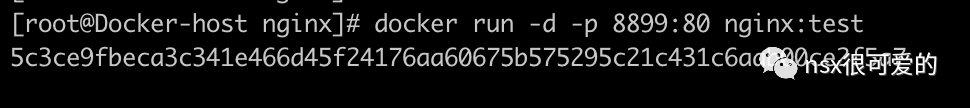 🥚5Ax03 Tanzu 3 基础的 Dockerfile - 图5