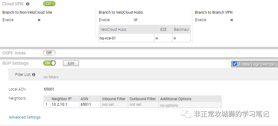 🌻7x04 SD-WAN 漫步云网端·VeloCloud网络配置示例 - 图13