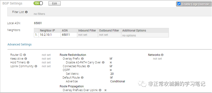 🌻7x04 SD-WAN 漫步云网端·VeloCloud网络配置示例 - 图15