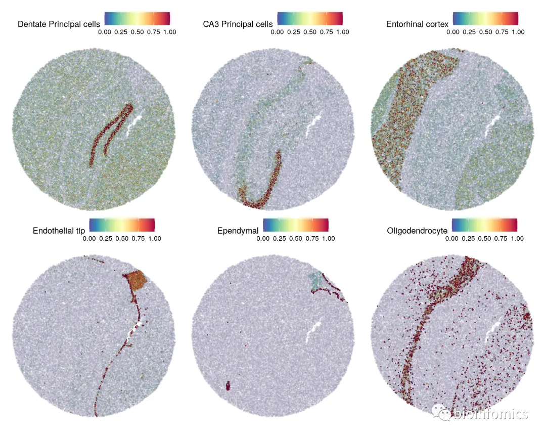 Seurat包学习笔记（三）：Analysis of spatial datasets - 图24