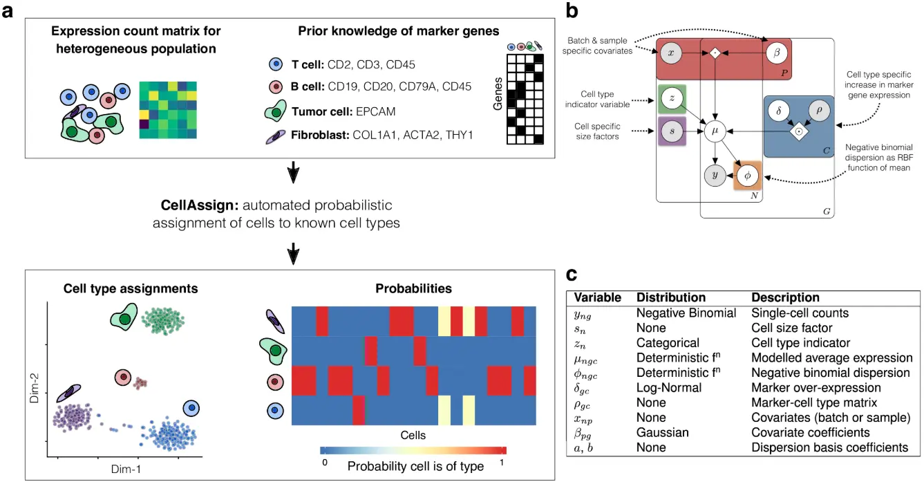 使用cellassign包进行单细胞类型注释分析（二）：Assigning single-cells to known cell types with CellAssign - 图1