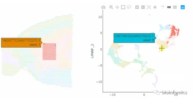 Seurat包学习笔记（三）：Analysis of spatial datasets - 图10