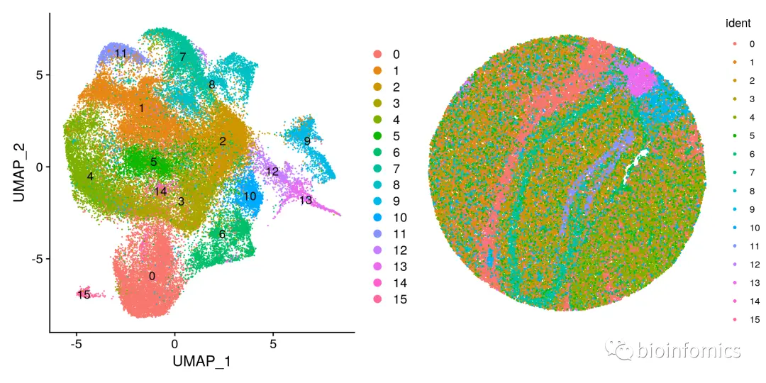 Seurat包学习笔记（三）：Analysis of spatial datasets - 图22