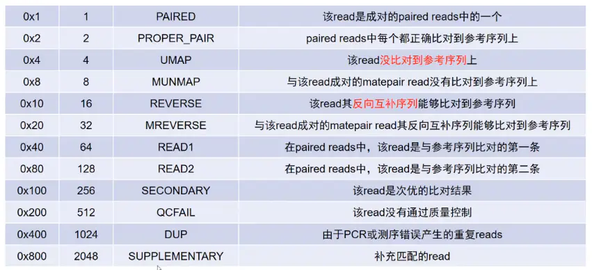 三维基因组技术（二）：Hi-C辅助组装与Lachesis的使用 - 图10