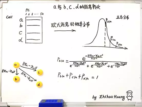 单细胞中的流形（一）： 理解 tSNE中的perplexity - 图3