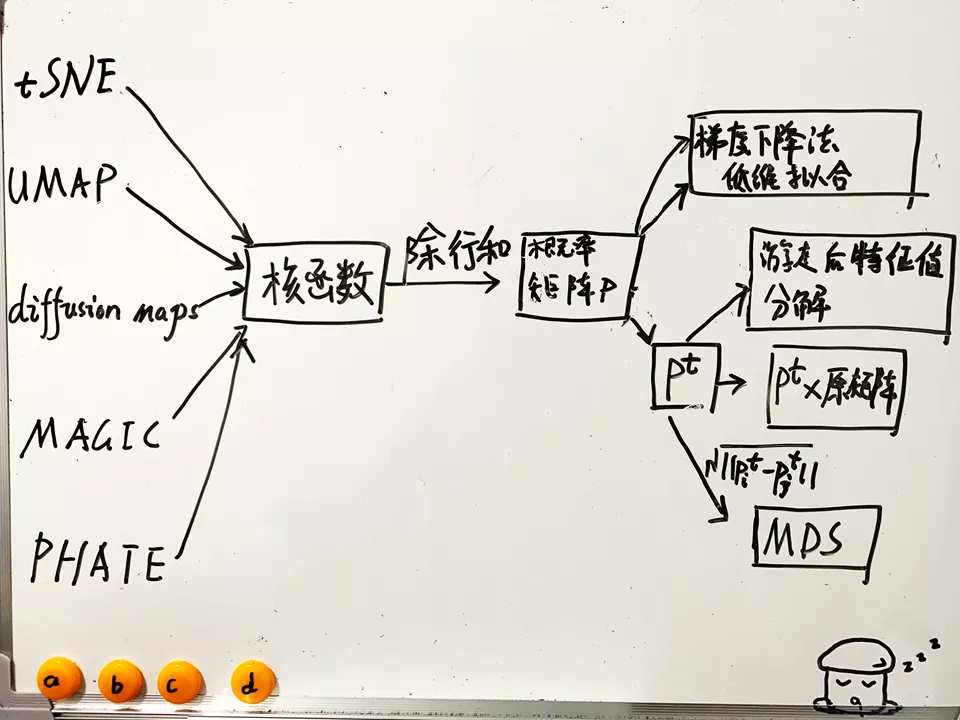 单细胞中的流形（三）：时序分析中的马尔科夫链 - 图8