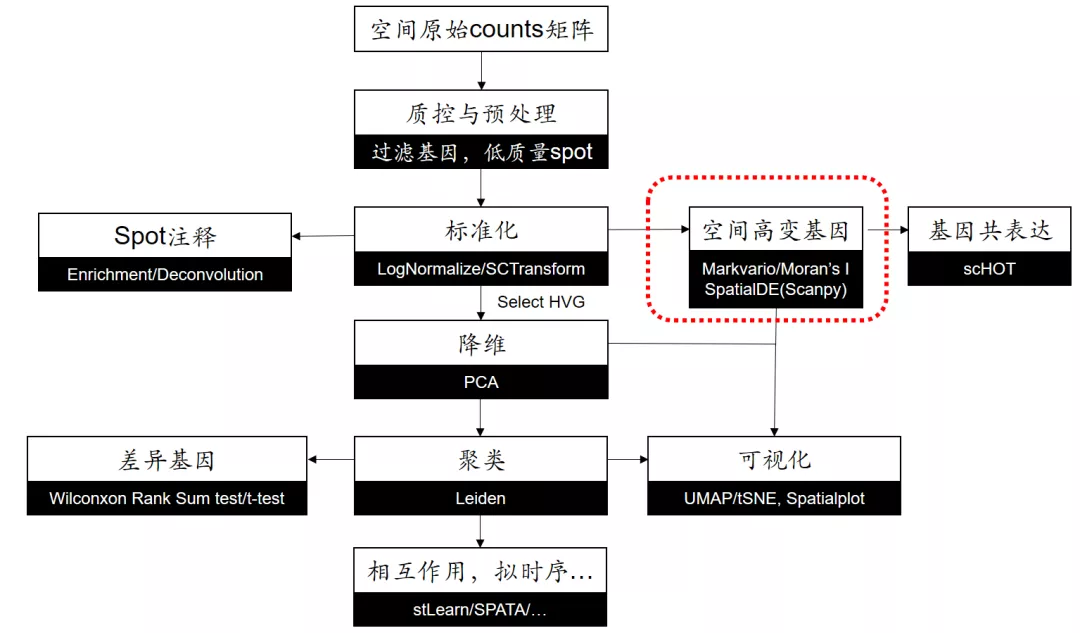 空转算法（一）：空间差异基因 - 图1