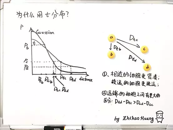 单细胞中的流形（一）： 理解 tSNE中的perplexity - 图9