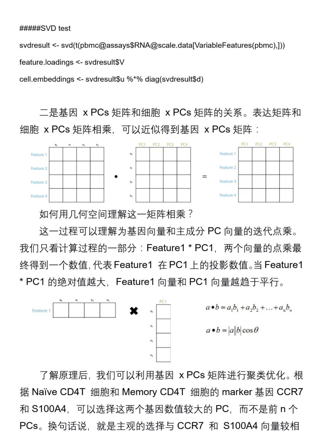 单细胞聚类（三）主成分基因矩阵对聚类的局部优化 - 图5