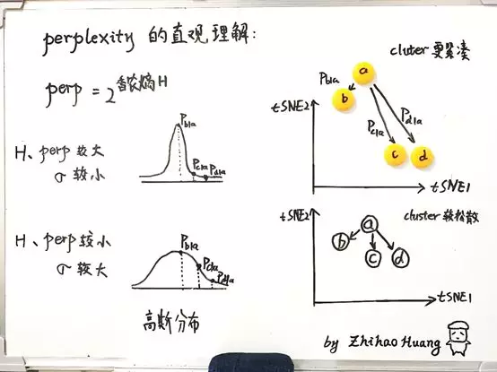 单细胞中的流形（一）： 理解 tSNE中的perplexity - 图7