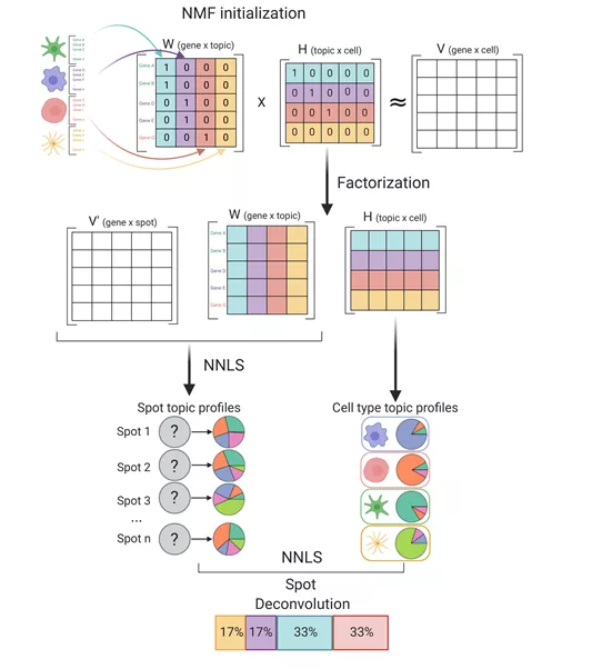 前沿科学技术介绍之10x Visium应用 - 图17