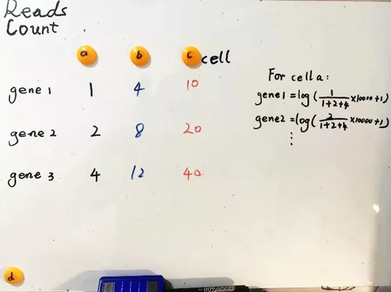 单细胞转录组数据特征与标准化（一）：泊松分布和准泊松回归 - 图1