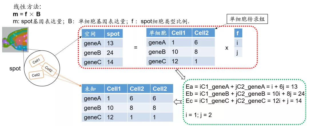 前沿科学技术介绍之10x Visium应用 - 图11