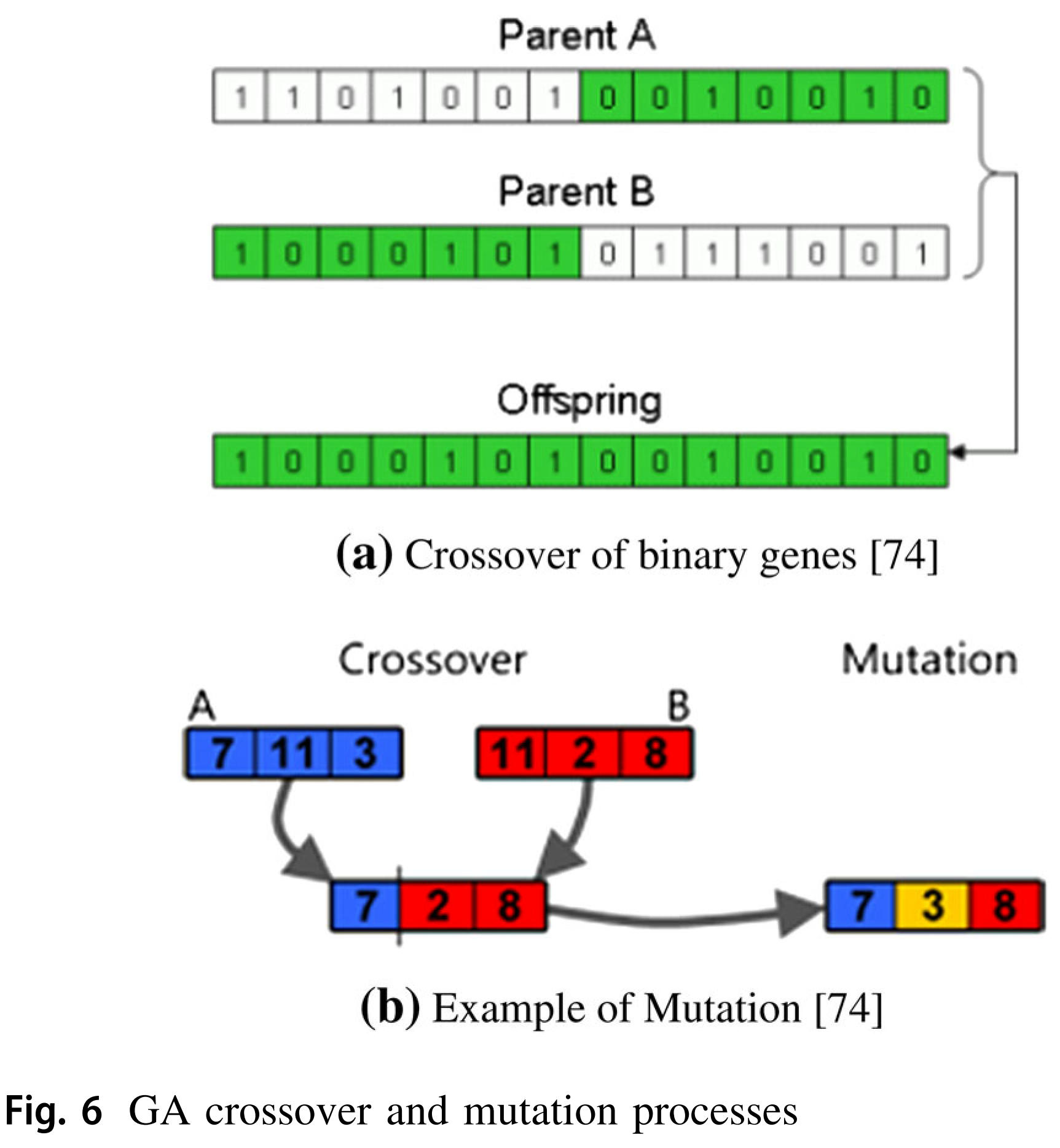 遗传算法(genetic algorithm)简介 - 图4