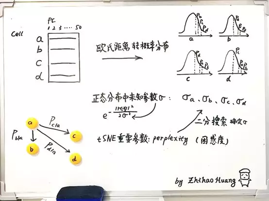 单细胞中的流形（一）： 理解 tSNE中的perplexity - 图4