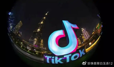 tiktok跨境mcn机构怎么申请入驻 - 图3