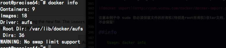 docker info
