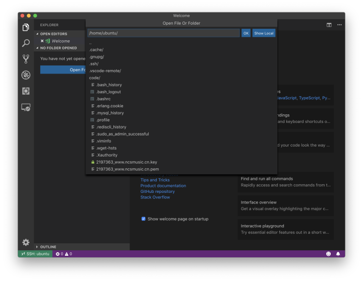 尝试一下 VSCode Remote 开发 Node 应用 - 图4