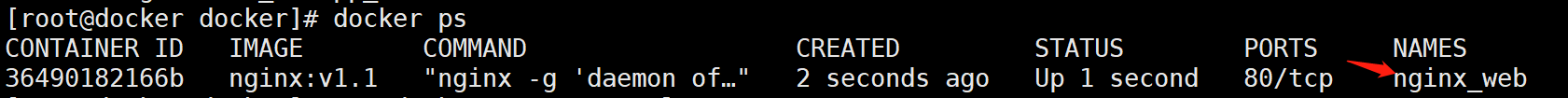 Docker-Compose - 图8