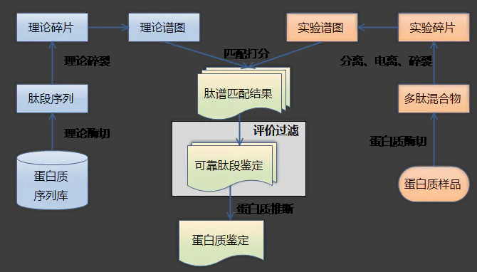 SearchingProcess.jpg