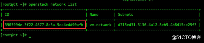 OpenStack Train版双节点安装（十三）启动实例 - 图5